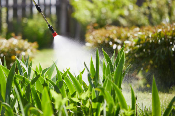 24/7 Emergency Wasp Removal experts in Lake City, MN